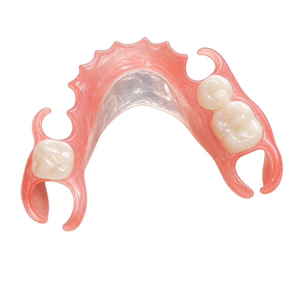 Flexible Denture Base Model