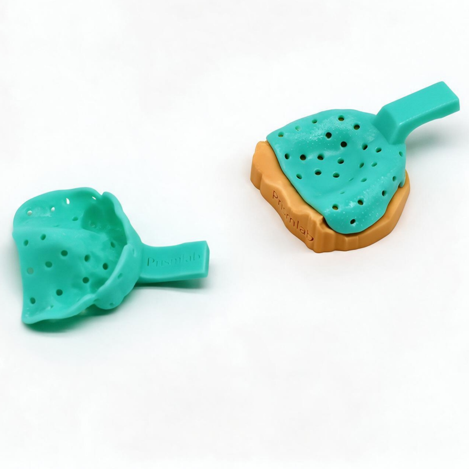 Dental Tray Model