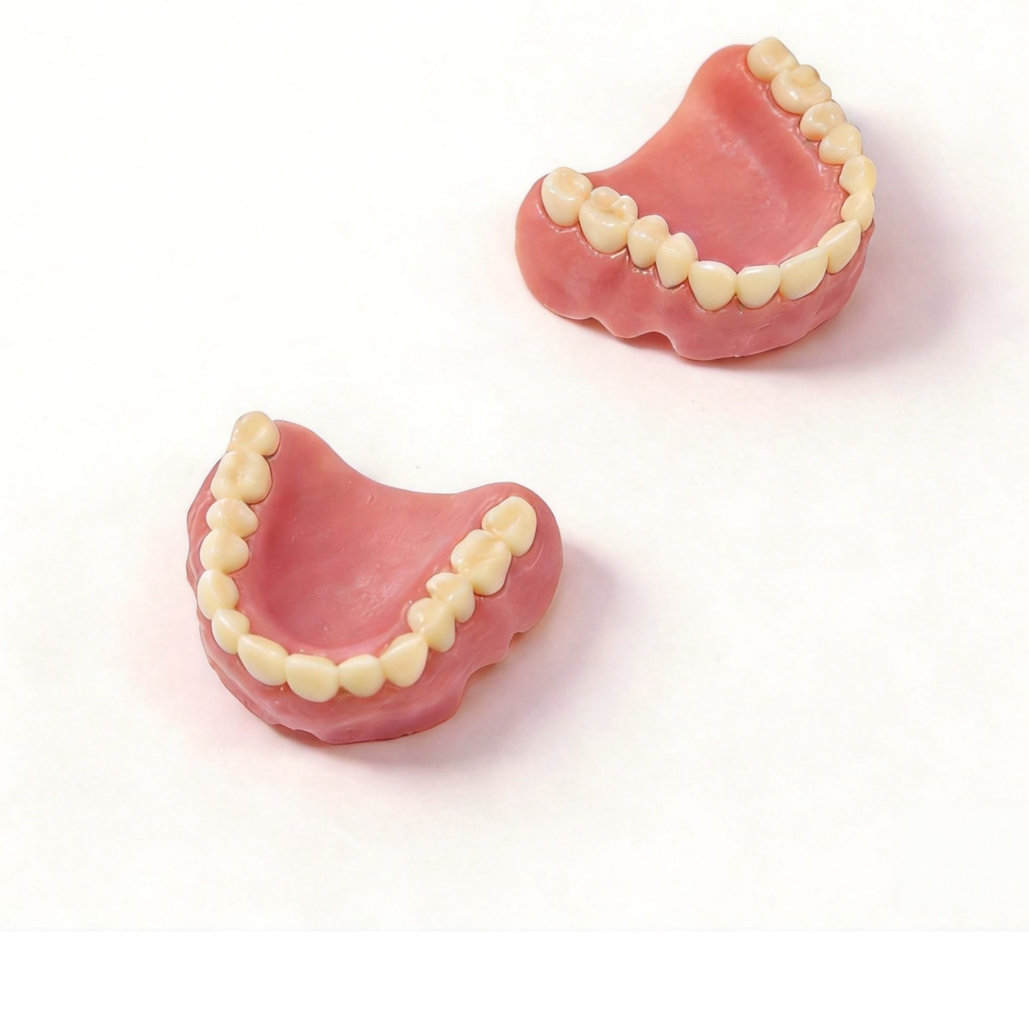 Denture Base Model