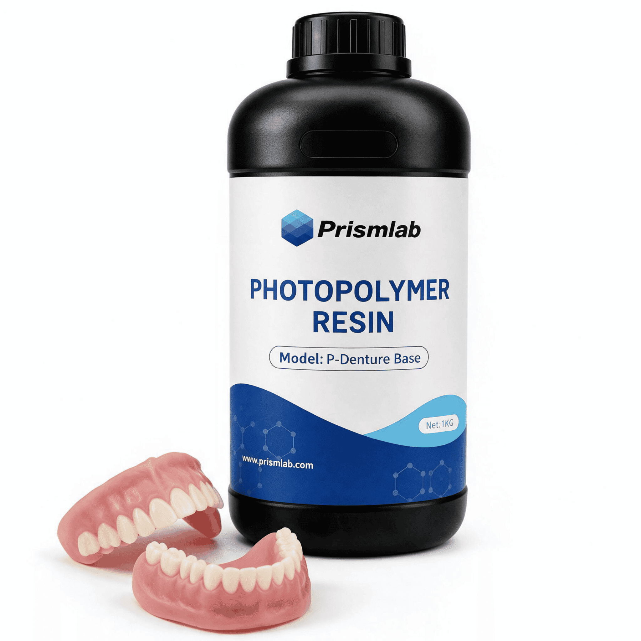 Denture Base Model